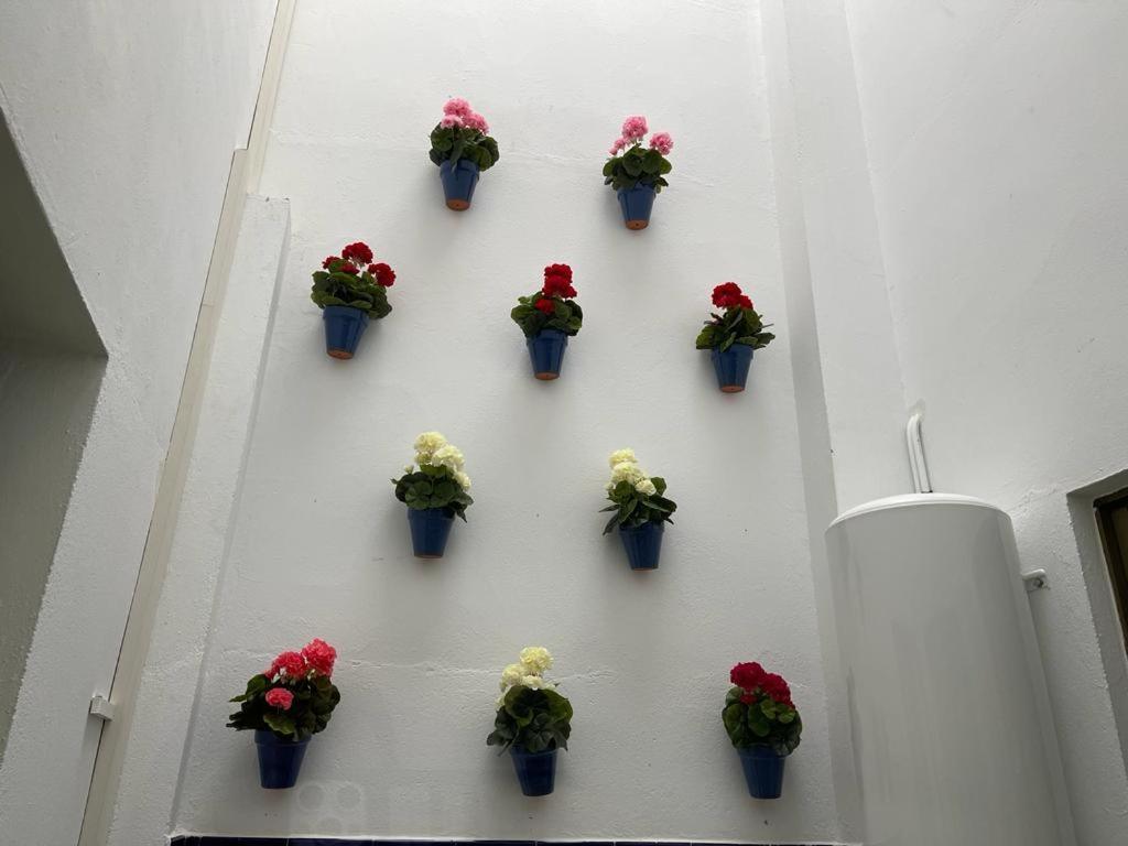 코르도바 El Mirador De San Fernando 아파트 외부 사진